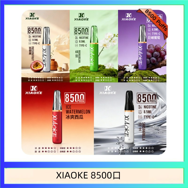 XIAOKE8500口 梟客XIAOKE一次性電子菸拋棄式8500口